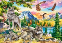 104970-2.webp.webp