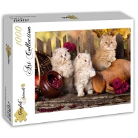 persian-cats-jigsaw-puzzle-1000-pieces_52234-2_fs.jpg