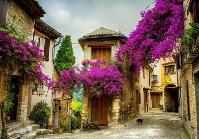 Grafika 1000 - Provence, France