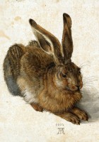 albrecht-durer-the-rabbit-1502-jigsaw-puzzle-1000-pieces.94838-1.fs.jpg