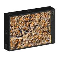 shells-and-starfish-jigsaw-puzzle-1000-pieces.94830-2.fs.jpg