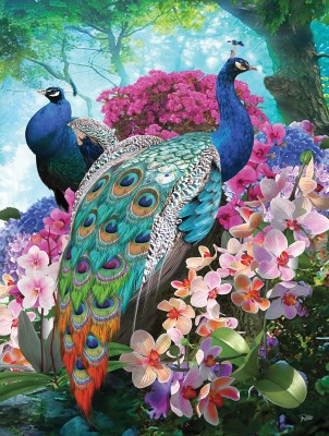 SunsOut 300 XXL - Pretty Peacock
