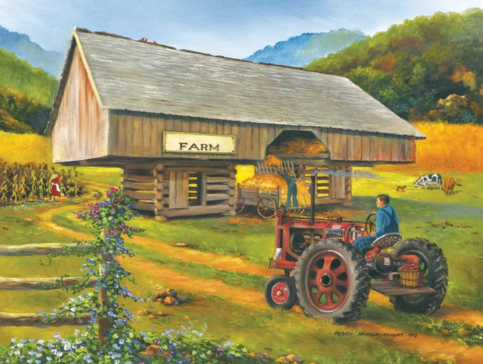 xxl-pieces-cantilever-barn-jigsaw-puzzle-300-pieces.95361-1.fs.jpg