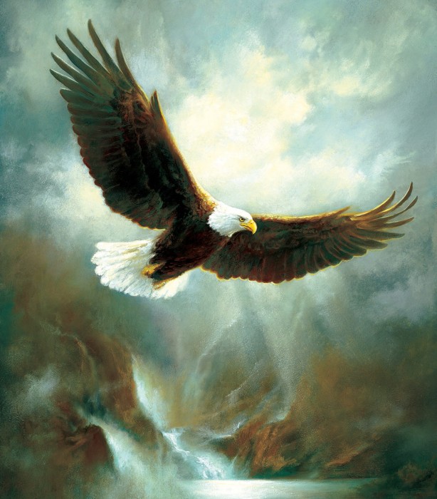 xxl-pieces-eagle-flight-jigsaw-puzzle-300-pieces.95359-1.fs.jpg