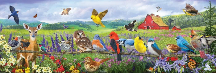 xxl-pieces-eastern-birds-jigsaw-puzzle-500-pieces.94317-1.fs.jpg