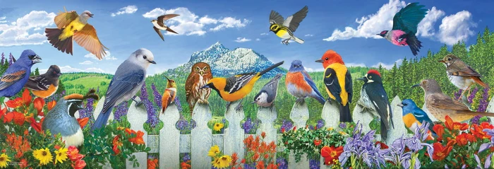 xxl-pieces-western-birds-jigsaw-puzzle-500-pieces.94316-1.fs.jpg