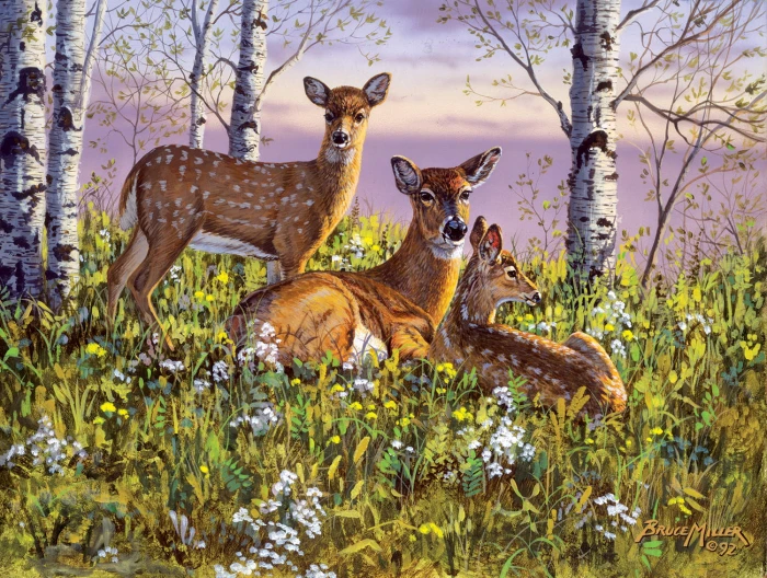 xxl-pieces-spring-twins-jigsaw-puzzle-500-pieces.95446-1.fs.jpg