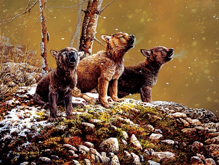 xxl-pieces-natures-song-jigsaw-puzzle-500-pieces.95471-1.fs.jpg