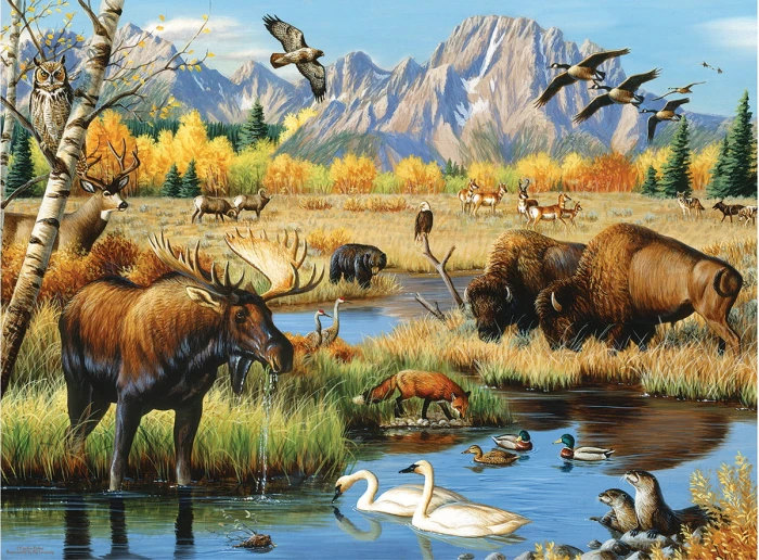 xxl-pieces-wildlife-gathering-jigsaw-puzzle-500-pieces.94315-1.fs.jpg