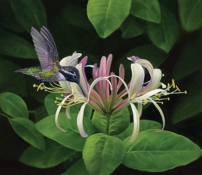 finding-nectar-jigsaw-puzzle-550-pieces.95367-1.fs.jpg