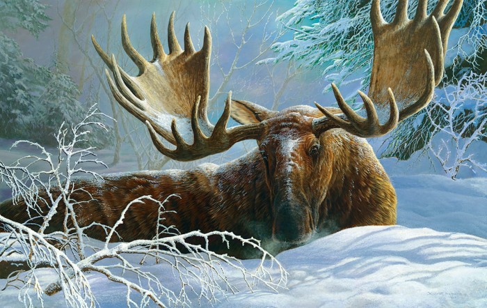 winter-blanket-jigsaw-puzzle-550-pieces.95470-1.fs.jpg