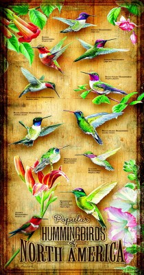 SunsOut 500 XXL - Hummingbirds of North of America