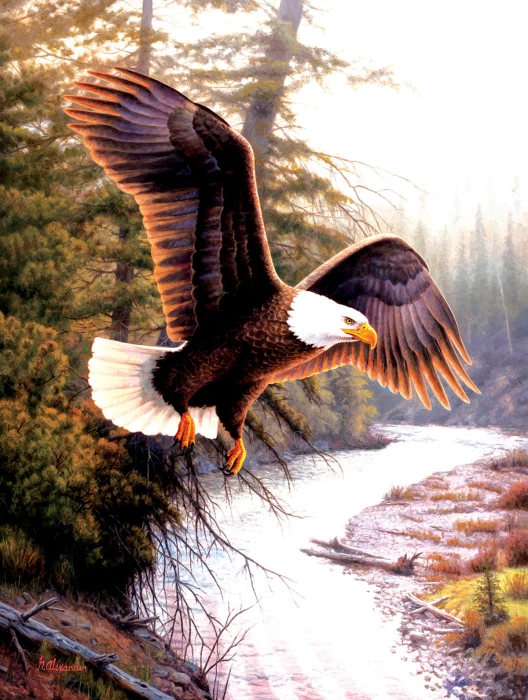 xxl-pieces-eagle-patriot-jigsaw-puzzle-500-pieces.95486-1.fs.jpg