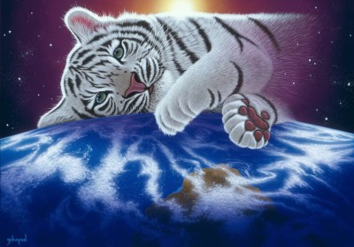 Grafika 1000 - Schim Schimmel - Cuddle Time