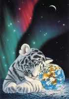 schim-schimmel-earth-light-jigsaw-puzzle-1000-pieces_59752-1_fs.jpg