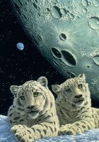 schim-schimmel-lair-of-the-snow-leopard-jigsaw-puzzle-1000-pieces_59814-1_fs.jpg