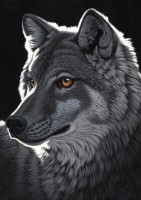 schim-schimmel-night-wolf-puzzle-1000-pieces_59882-1_fs.jpg