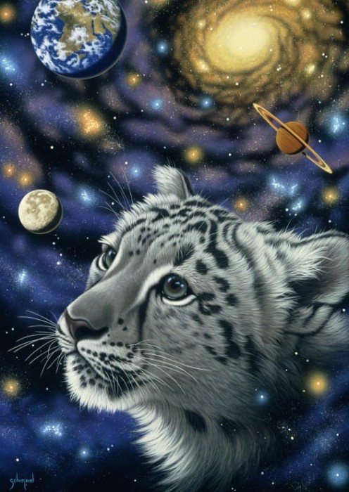 schim-schimmel-one-with-the-universe-puzzle-1000-pieces_59740-1_fs.jpg