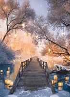 way-of-the-lanterns-diego-hernandez-jigsaw-puzzle-500-pieces.95572-2.fs.jpg