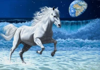 schim-schimmel-wave-runner-jigsaw-puzzle-1000-pieces_61697-1_fs.jpg