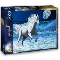 schim-schimmel-wave-runner-jigsaw-puzzle-1000-pieces_61697-2_fs.jpg