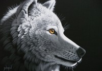 schim-schimmel-wolf-light-jigsaw-puzzle-1000-pieces_59778-1_fs.jpg