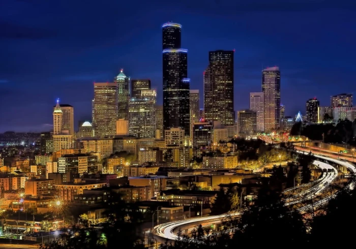 seattle-by-night-jigsaw-puzzle-1000-pieces_53529-1_fs.jpg