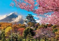 pol_pl_Puzzle-2000-el-Zamek-Osaka-Japonia-8702_2.jpg