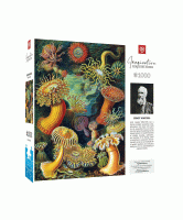 ernst-haeckel-sea-anemones-bob-leftview-jpg.jpg
