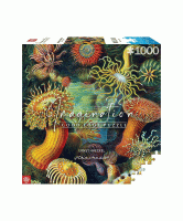 ernst-haeckel-sea-anemones-fob-toppanel.jpg