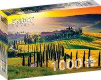 2082_1.webp