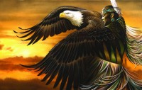 eagle-daughter-jigsaw-puzzle-1000-pieces.95802-1.fs.jpg