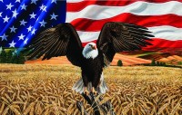 amber-waves-of-grain-jigsaw-puzzle-1000-pieces.95833-1.fs.jpg