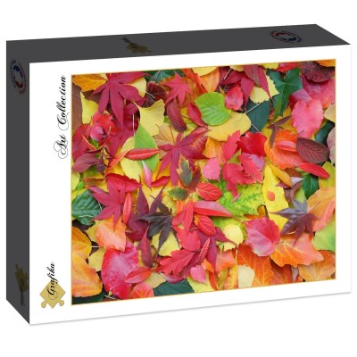 Grafika 2000 - Autumn Leaves