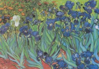 vincent-van-gogh-1889-jigsaw-puzzle-1000-pieces_45386-1_fs.jpg