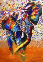 bluebird-puzzle-african-colours-jigsaw-puzzle-1000-pieces.86146-1.fs.jpg