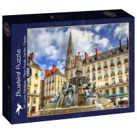 bluebird-puzzle-44-loire-atlantique-place-royale-nantes-france-jigsaw-puzzle-1000-pieces.93824-2.fs.jpg