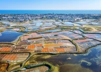 bluebird-puzzle-44-loire-atlantique-marais-salants-guerande-batz-sur-mer-france-jigsaw-puzzle-500-pieces.93825-1.fs.jpg
