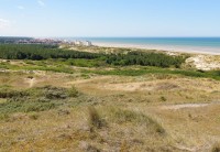 bluebird-puzzle-dunes-dhardelot-cote-dopale-france-jigsaw-puzzle-1000-pieces.94047-1.fs.jpg