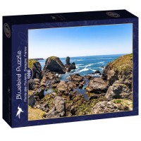 bluebird-puzzle-pointe-des-poulains-bretagne-france-jigsaw-puzzle-1000-pieces.94051-2.fs.jpg