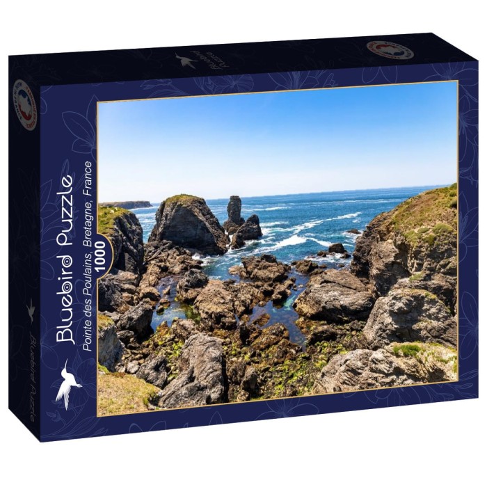 bluebird-puzzle-pointe-des-poulains-bretagne-france-jigsaw-puzzle-1000-pieces.94051-2.fs.jpg