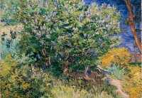 van-gogh-vincent-lilas-1889-jigsaw-puzzle-1000-pieces.94166-1.fs.jpg