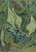 van-gogh-giant-peacock-moth-1889-jigsaw-puzzle-1000-pieces.94184-1.fs.jpg