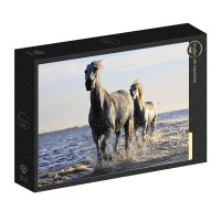 horses-jigsaw-puzzle-1000-pieces.94832-2.fs.jpg