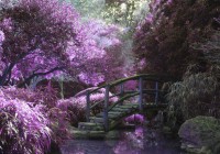 zen-bridge-jigsaw-puzzle-1000-pieces_54856-1_fs.jpg
