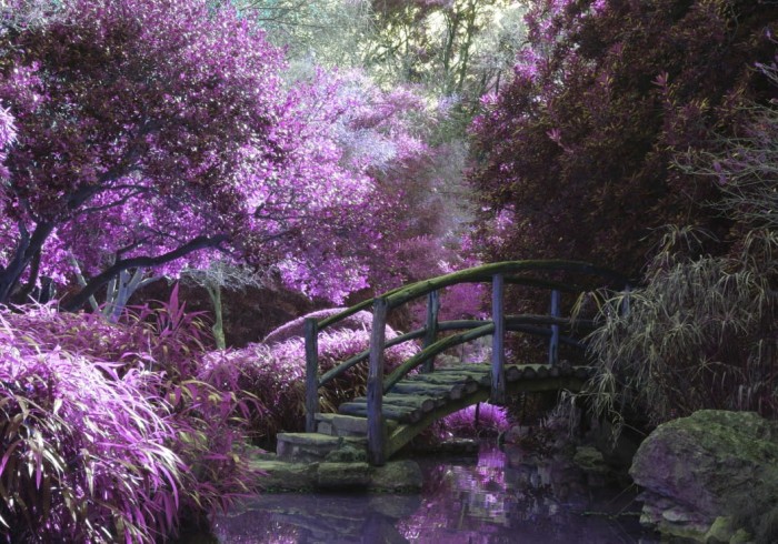 zen-bridge-jigsaw-puzzle-1000-pieces_54856-1_fs.jpg