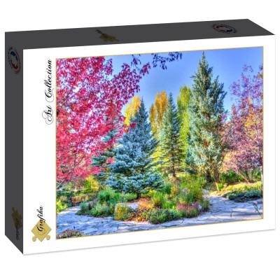 Grafika 2000 - Colorful Forest, Colorado, USA