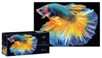 Puzzle_250_Colourful_Nature_6_Fish_5902277342041.jpg