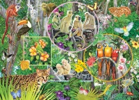 cobble-hill-outset-media-rainforest-magic-jigsaw-puzzle-350-pieces.96672-1.fs.jpg