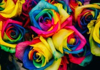 roses-jigsaw-puzzle-1000-pieces.96974-1.fs.jpg